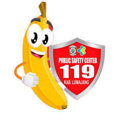 STANDART PELAYANAN  PSC 119 ( PUBLIC SERVICE CENTRE )  DINAS KESEHATAN PENGENDALIAN PENDUDUK DAN KELUARGA BERENCANA KABUPATEN LUMAJANG 