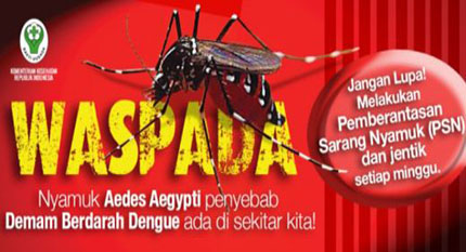 SELAIN COVID-19, MASYARAKAT LUMAJANG DIIMBAU WASPADAI ANCAMAN DBD